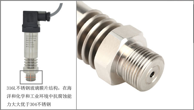 MIK-P300G不銹鋼膜片 MIK-P300G不銹鋼膜片