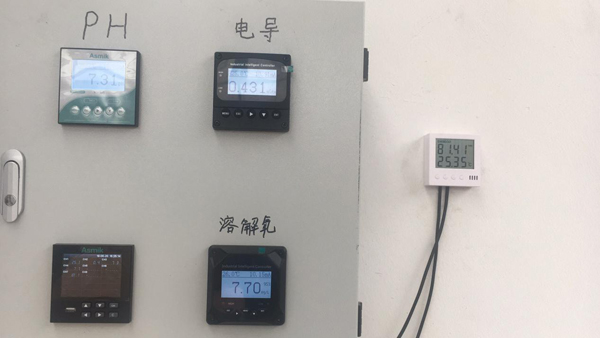 米科傳感儀表在現(xiàn)場的應用